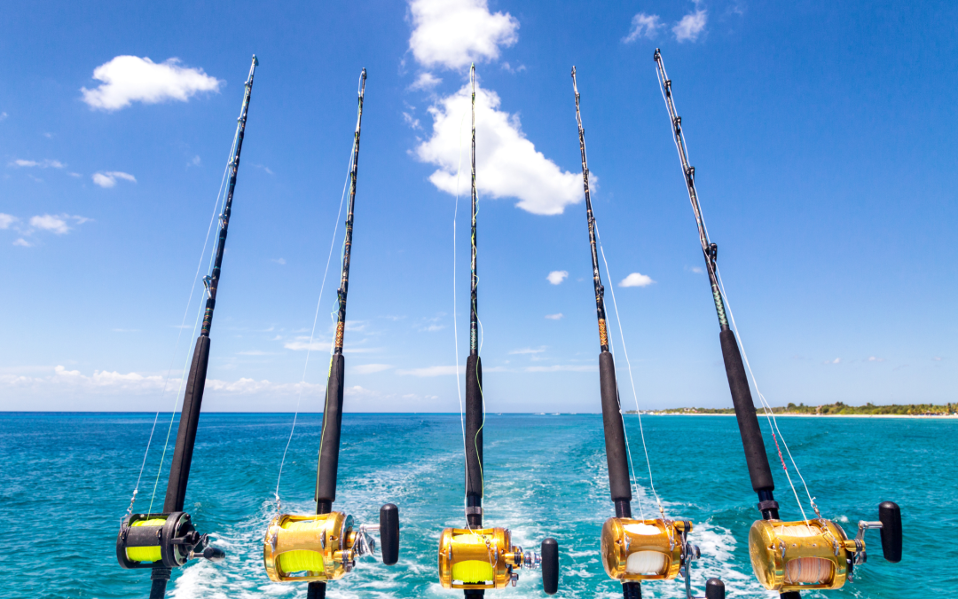 Choosing the Right Fishing Rod for Every Angling Adventure