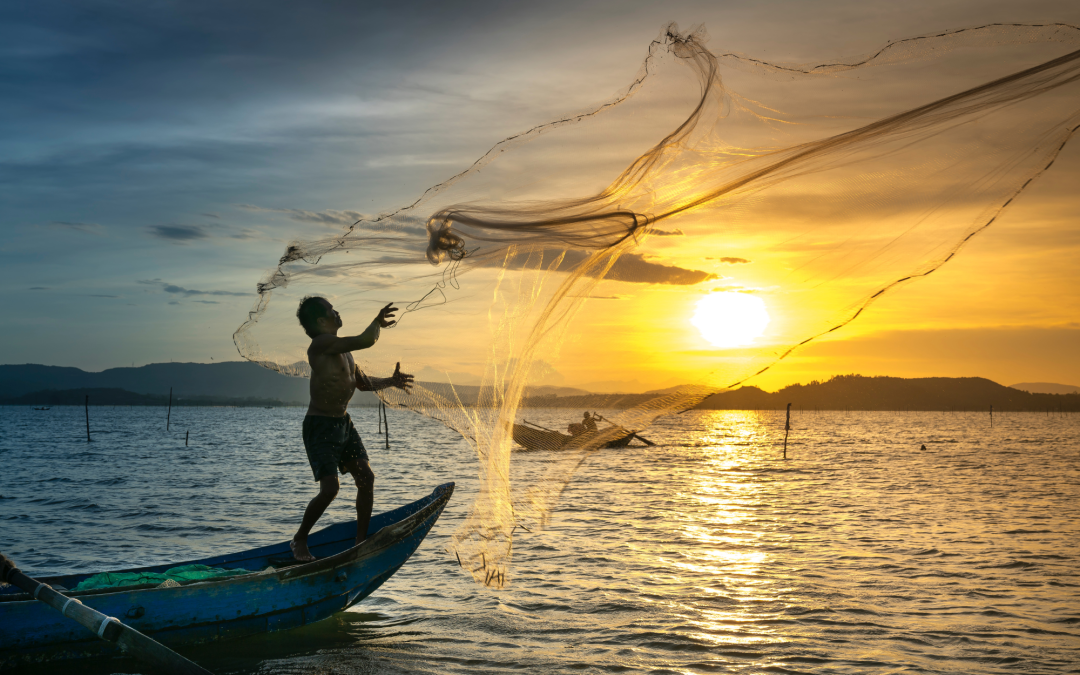 Saltwater vs. Freshwater Fishing: Key Differences and Best Practices