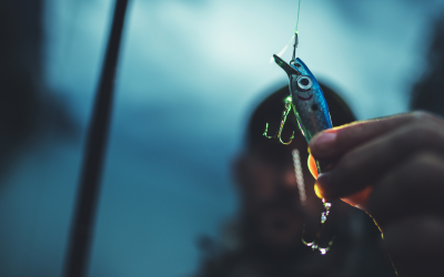 The Best Baits and Lures for Catching Big Game Fish